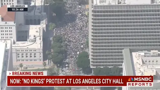 HOLY SMOKES! Look at this aerial shot of Los Angeles. MSNBC reports dozens of protests expected just within LA.