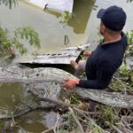 Se investiga la basura espacial en las playas de Tamaulipas